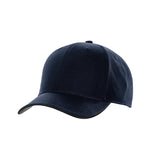 NAVY/ DOLPHIN