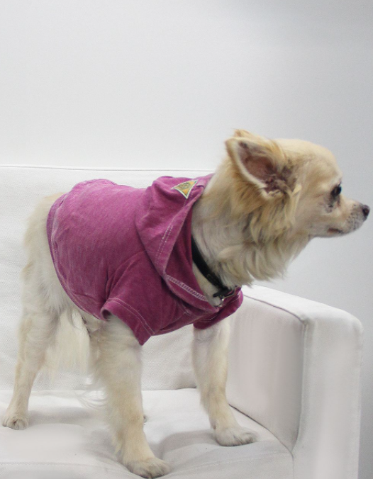 Doggy Hoodie-Magenta-Large