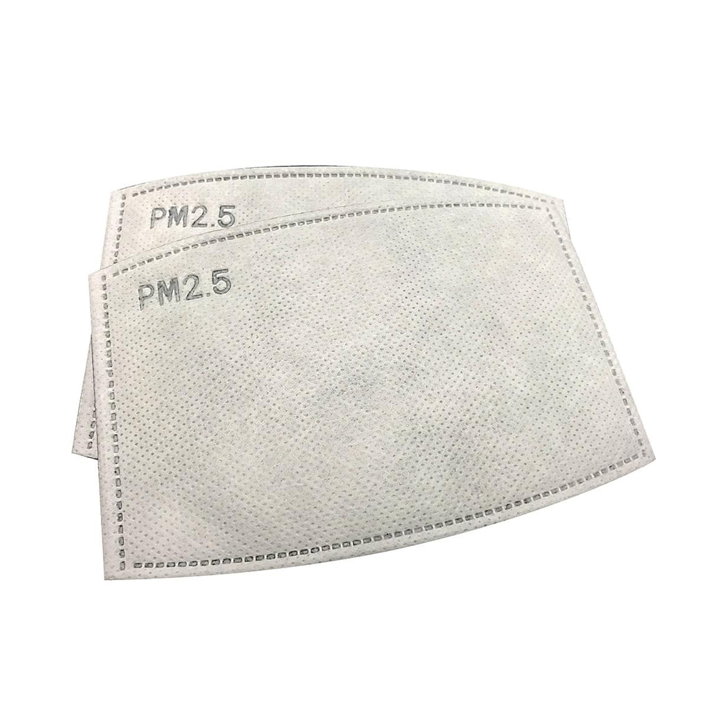 PM2.5 Activated Carbon Filter - Pack of 10 - PM-25